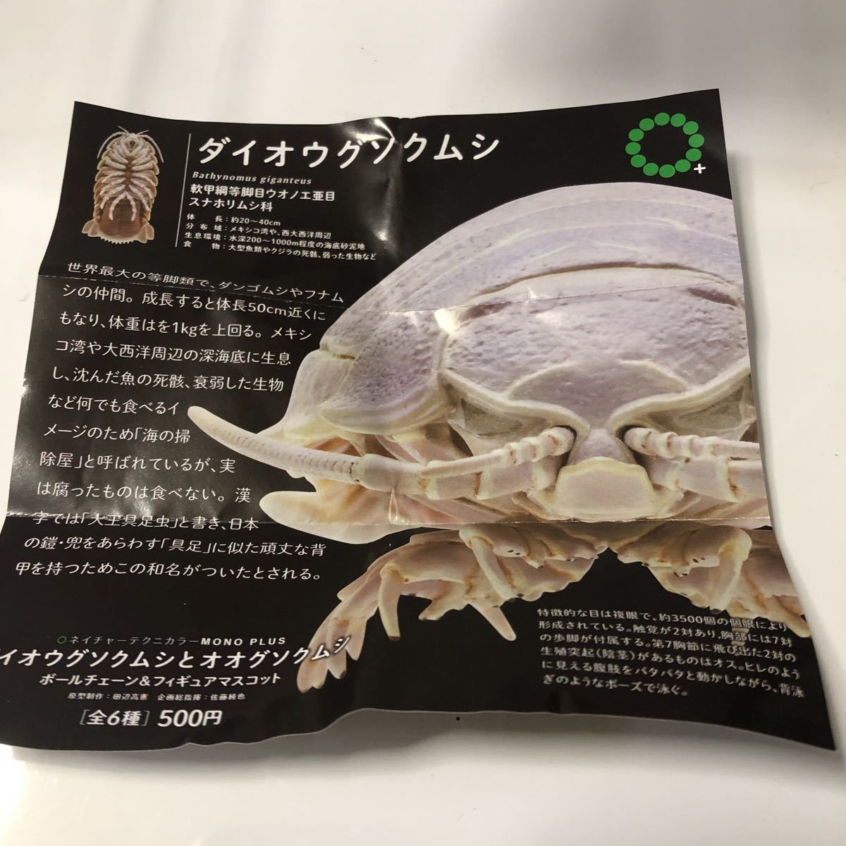 ネイチャーテクニカラー ダイオウグソクムシとオオグソクムシ ネイチャーテクニカラー ダイオウグソクムシとオオグソクムシ