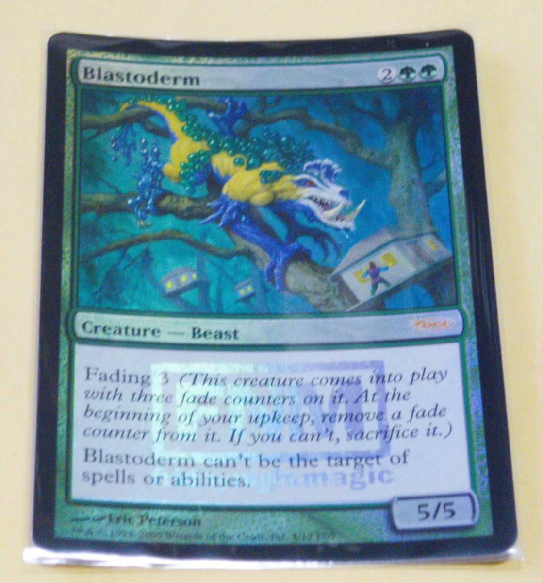 MTG★FNM☆FOIL★Blastoderm/ブラストダーム☆プロモ_画像1