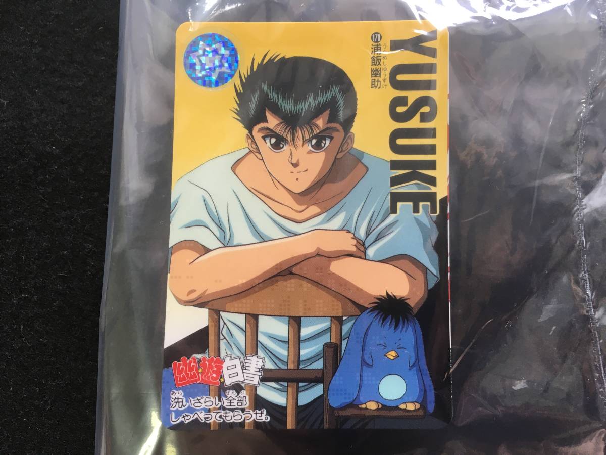 幽遊白書 カードダス 当時物15枚セット アニメグッズ | endageism.com