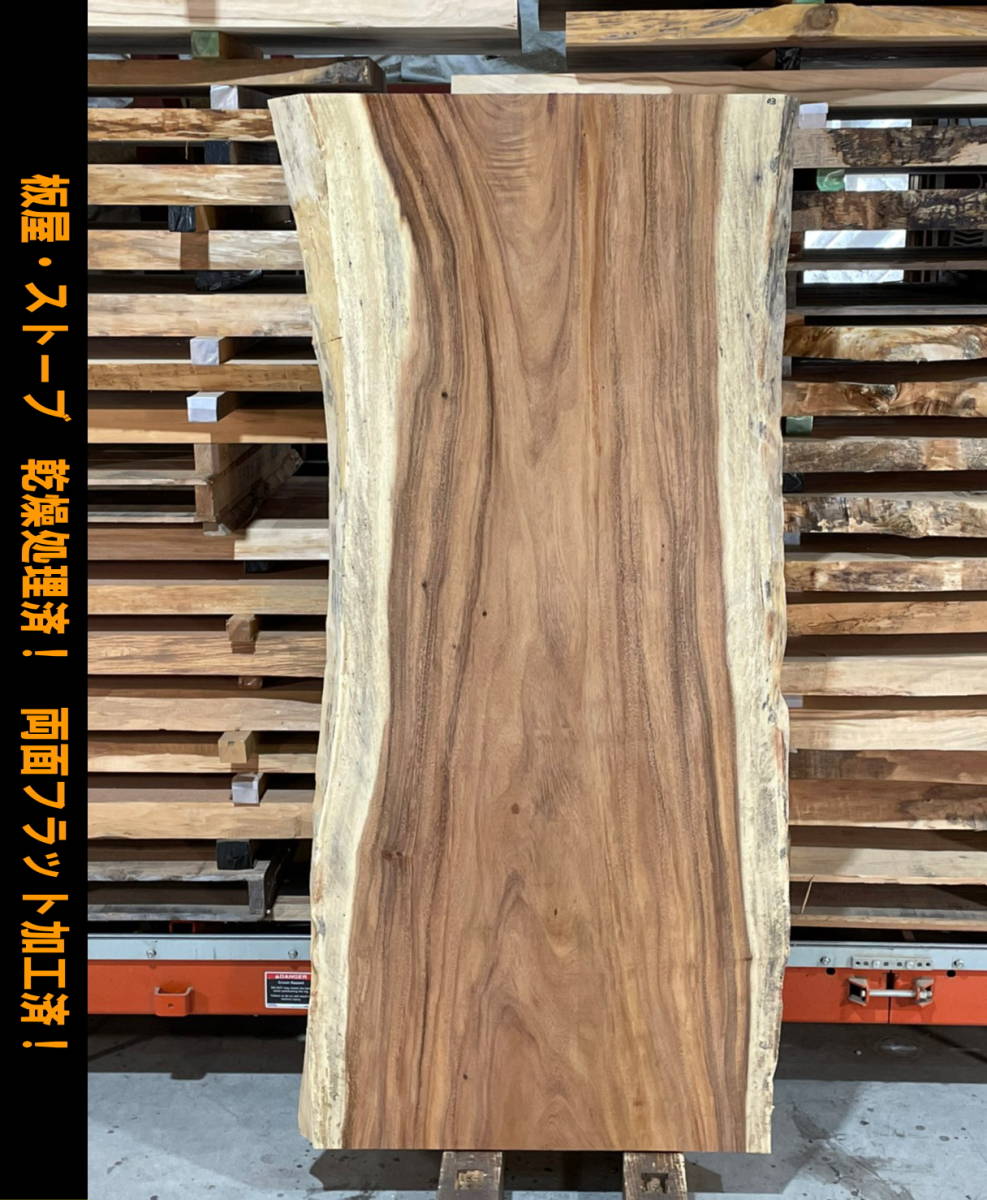モンキーポッド 03 一枚板 両面フラット加工済! 棚板 カウンター
