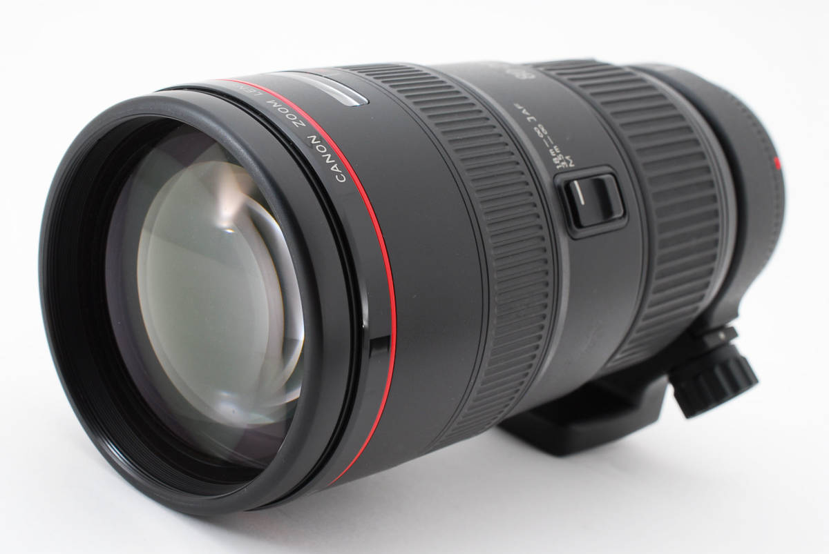 美品】 キャノン Canon ZOOM LENS EF 80-200mm F2.8 L | charcas.gob.mx