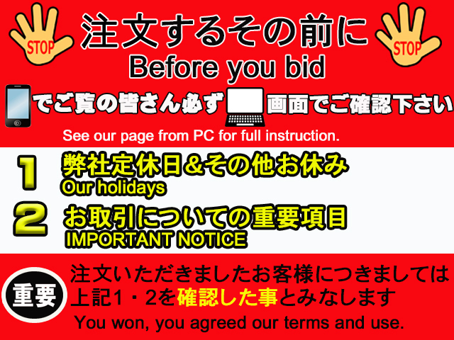 ガレージディフェンド 純正バンパー専用 カナード スティングレー スカイライン GT-R BNR32 トラスト企画 (318101005_画像10