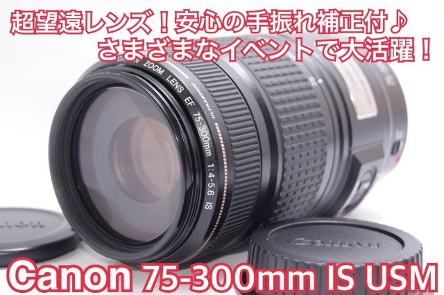 手ぶれ補正機能☆】Canon EF 75-300mm IS 超望遠レンズ | monsterdog