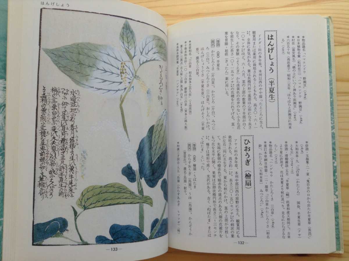 野の草の手帖 尚学図書 岩崎灌園 全カラー図版 本草図譜 野の草の手帖 尚学図書 岩崎灌園 全カラー図版 本草図譜