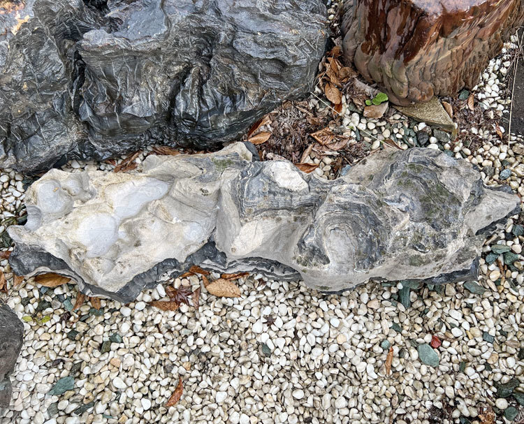 太湖石（たいこせき） 144 庭石 景石 鑑賞石 自然石 和風 石庭 庭園に_画像4
