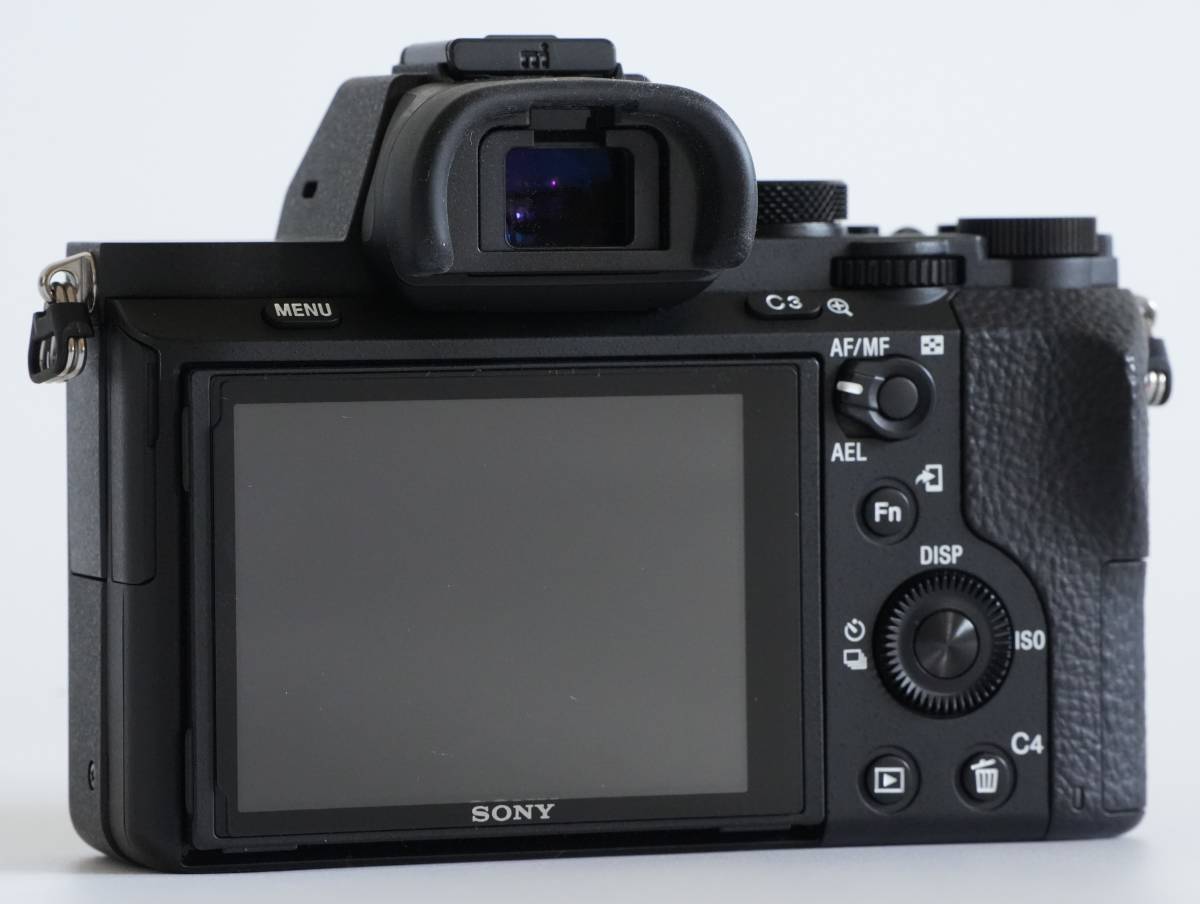 フルサイズミラーレス Sony α7 II | www.armarioagustina.cl