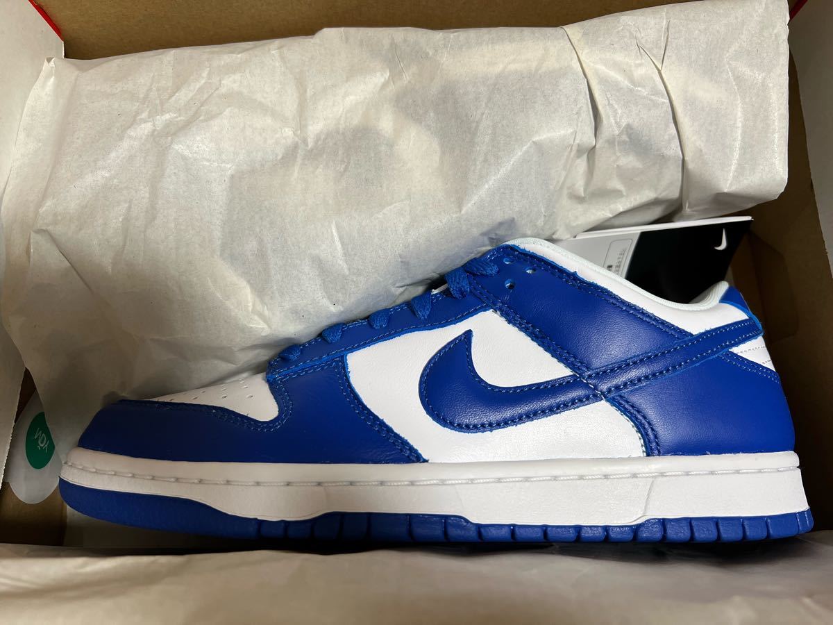 Nike Dunk Low SP