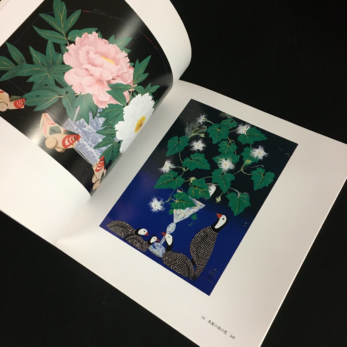 美本『中島千波　宮城の桜といろいろ展』　藤崎創業200周年記念　　　　　図録　画集　作品集　日本画　_画像6