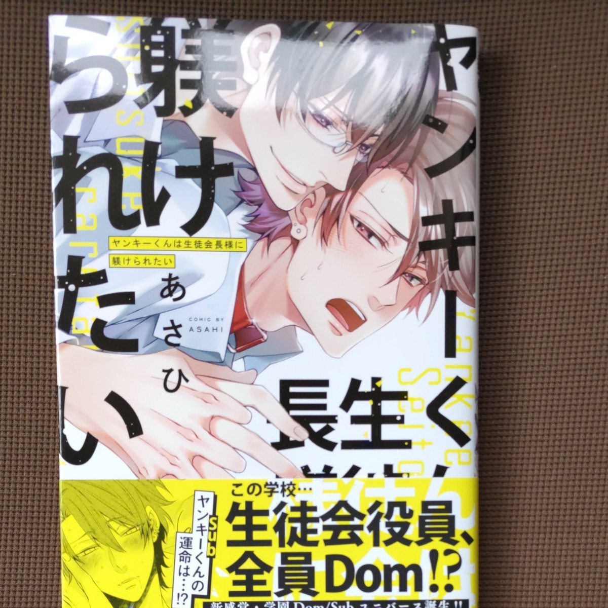 【専用】ヤンキーくんは生徒会長様に躾けられたい　／あさひ