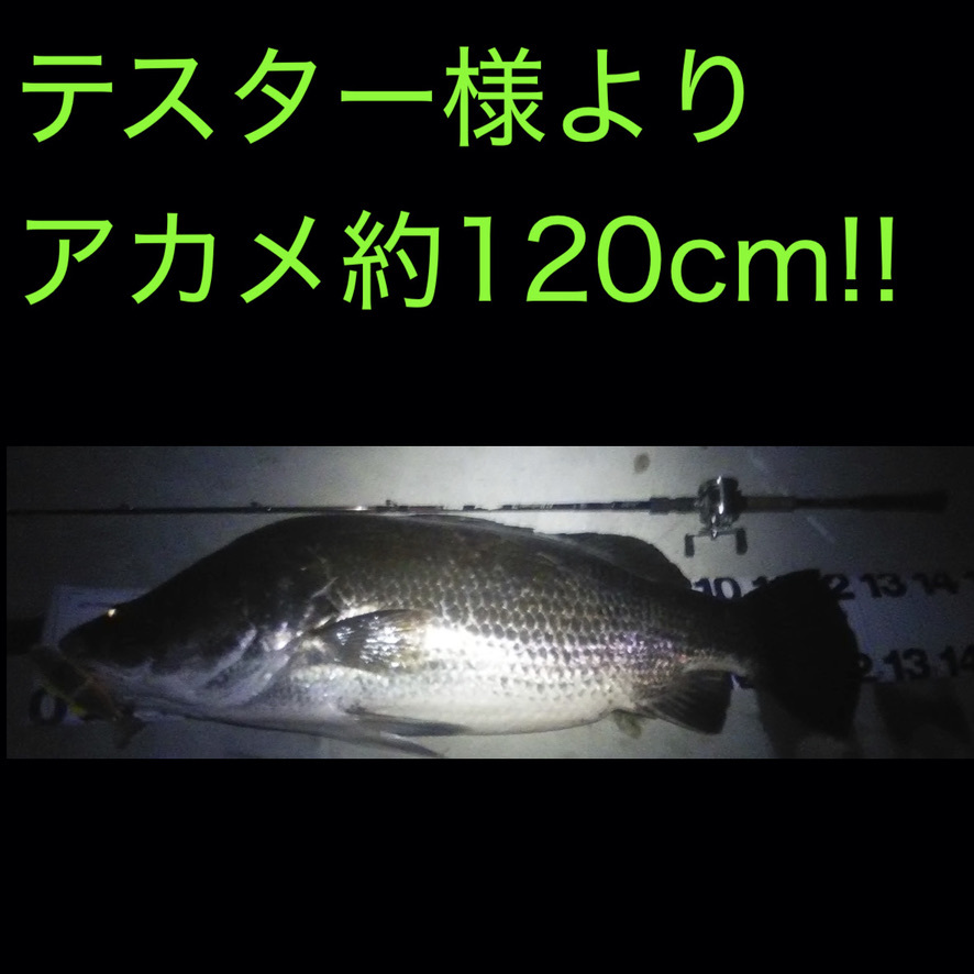 営業 S字形 超リアル バスロイド系 ビッグベイト FL40-CT BK 2個セット S字形 超リアル バスロイド系 ビッグベイト FL40 SB SB