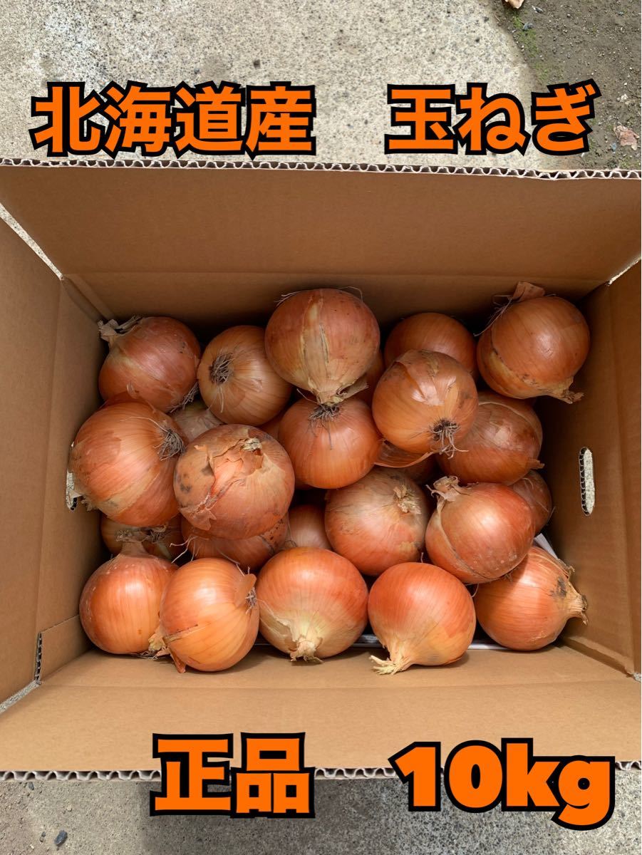 サントスピンク 北海道産 玉ねぎ 正品 M〜L 混み玉 10kg | waldlaeuferbande.org