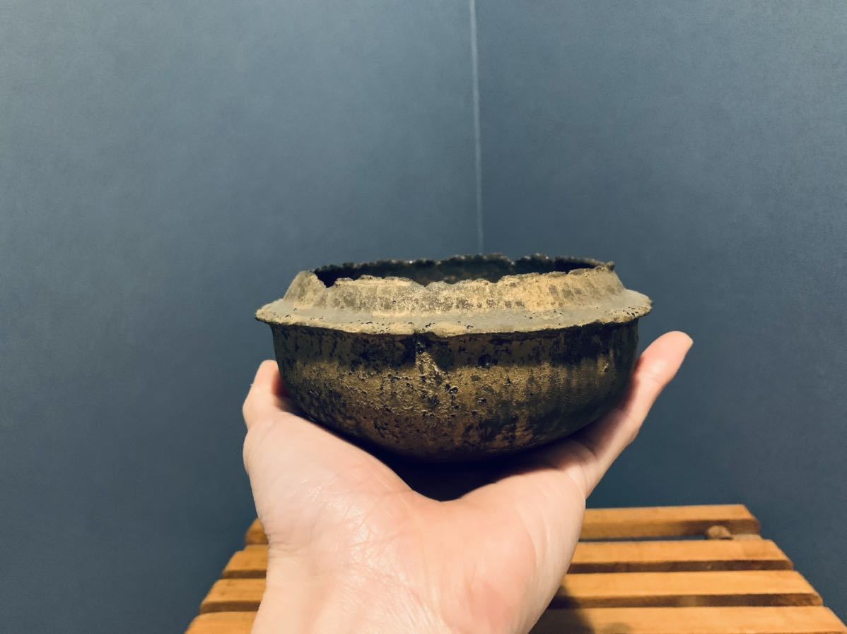 未使用保管品 即決 細川政己 植木鉢 コーデックス 塊根植物 www