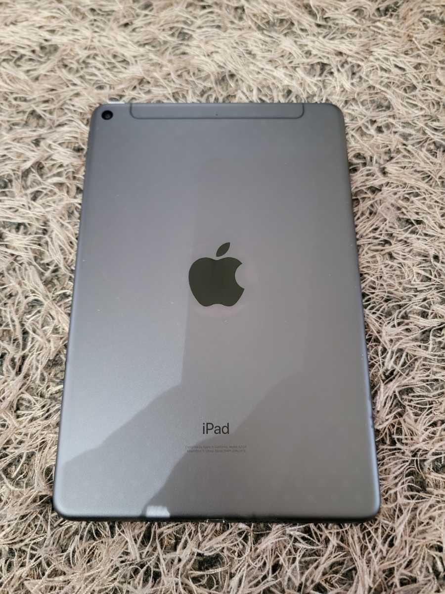 iPad mini 第5世代 Wi-Fi+Cellular 256GB グレー SIMフリー(iPad本体