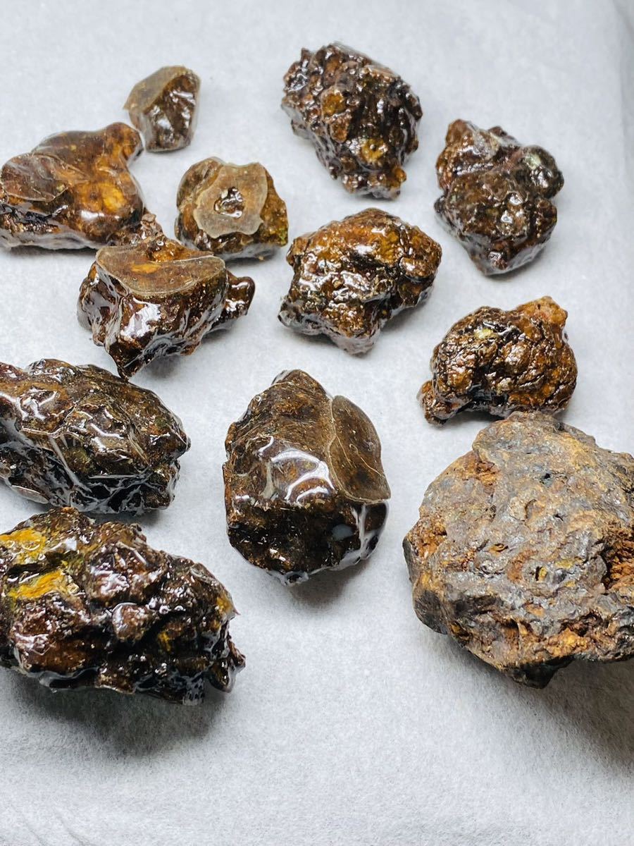 パラサイト隕石 原石 542g セリコ隕石 隕石 石鉄隕石 メテオライト 