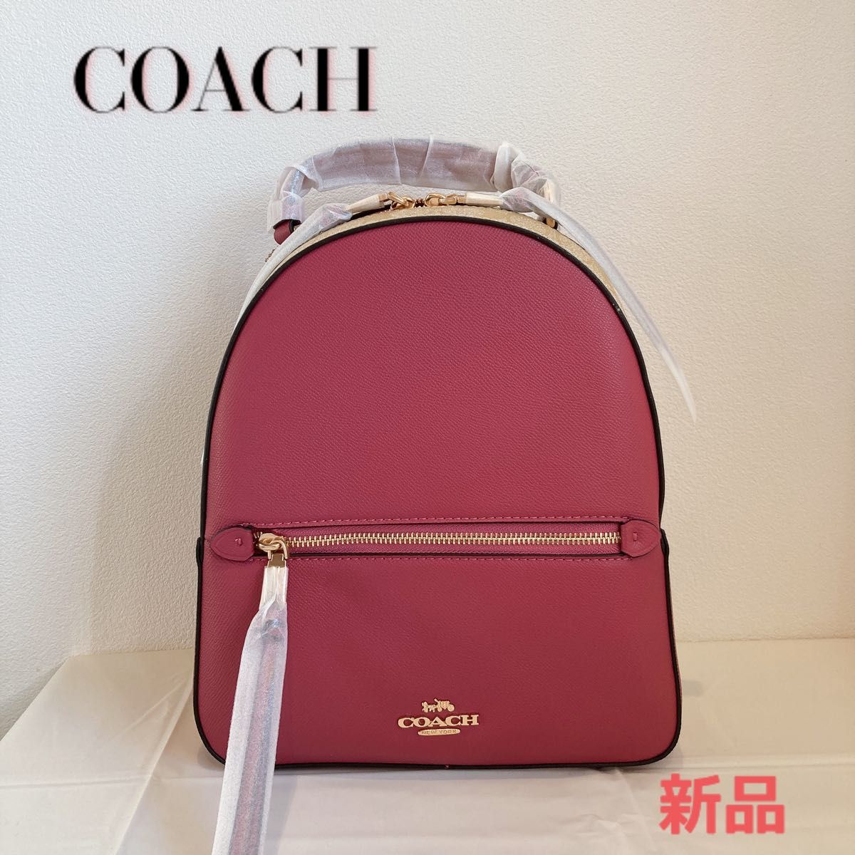 セット送料無料 新品 コーチ COACH リュック レザー ピンク - 通販