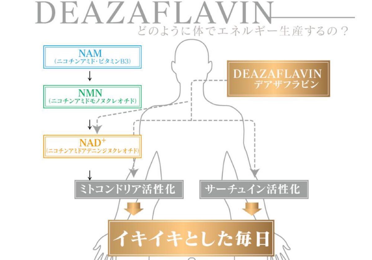 PayPayフリマ|【お得な2本セット】デアザフラビン plus 5-ALA W配合
