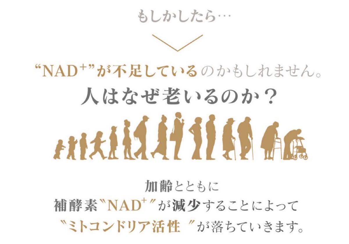 【お得な12本セット】デアザフラビン plus 5-ALA W配合 日本製 純度99.9％以上 1粒NMN1200mg相当 高含有