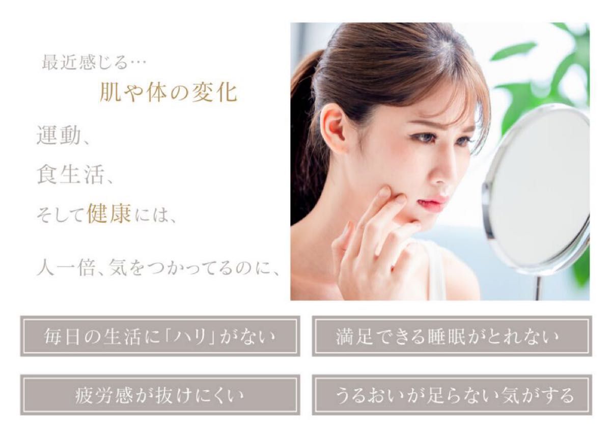 お得3セット】NMN ロゼンジ 250mg 舌下吸収トローチ 30粒 2本 と