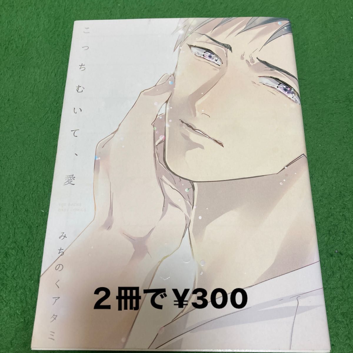 マキ様専用です こっちむいて、愛 メメントスカーレット 2冊セット