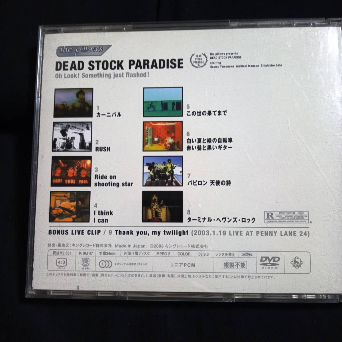 ザ・ピロウズ　the pillows DEAD STOCK PARADISE_画像2