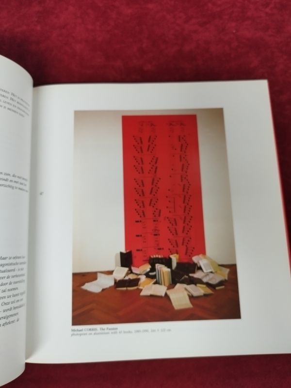 【洋書】『RED Curated by Robert Nickas』/Isy Braschot Editeur & Imschoot Uitgevers/Y985/mm*22_7/54-01_画像4