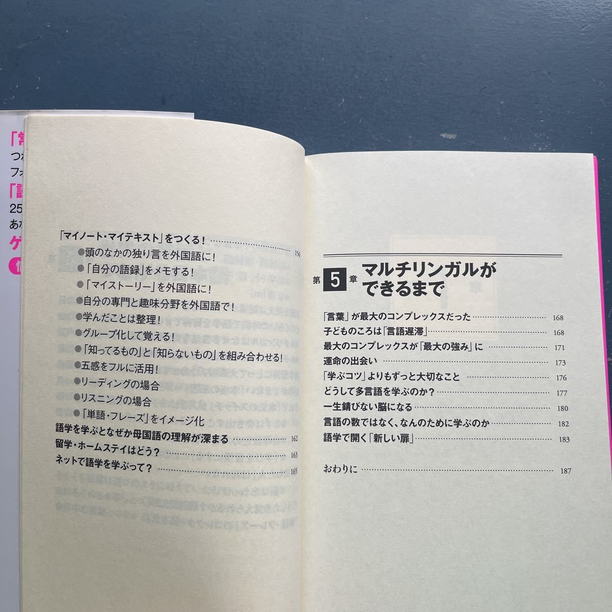 本当は語学が得意な日本人 李久惟 フォレスト出版 新書 初版_画像5