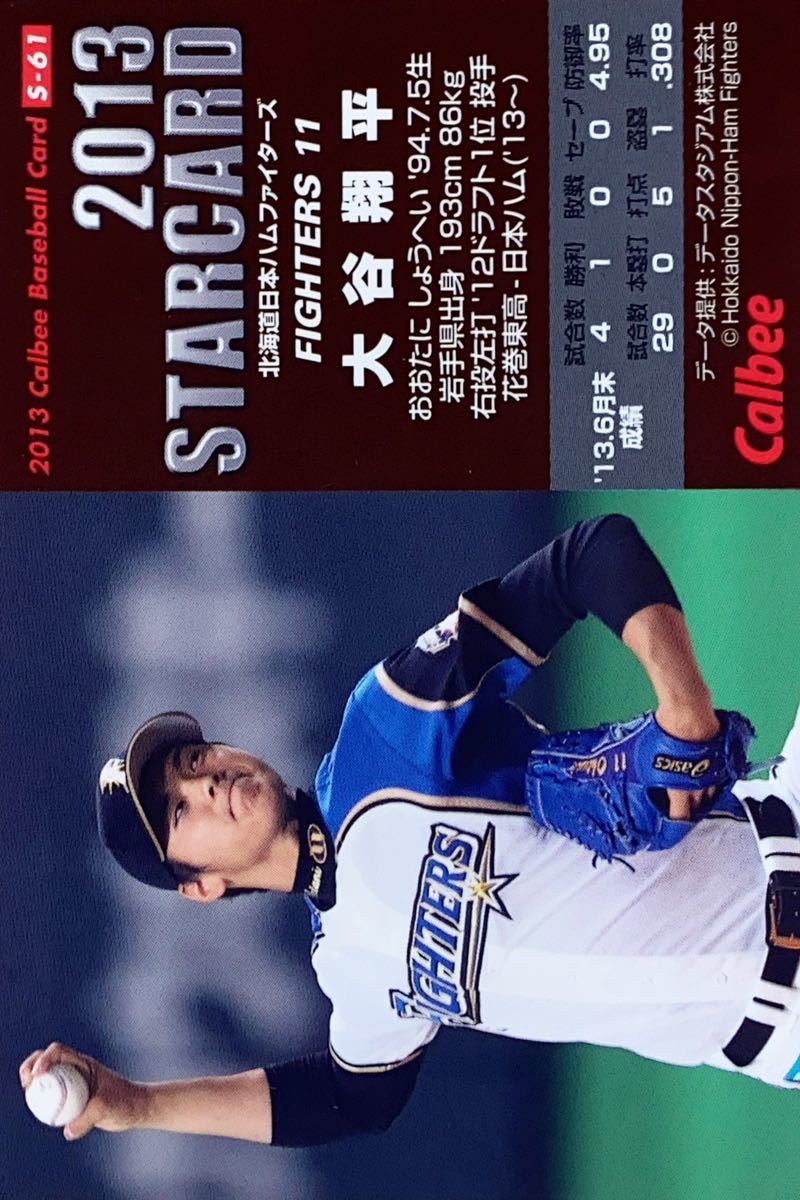 いよいよ人気ブランド プロ野球チップス2013 winterstarguard.org