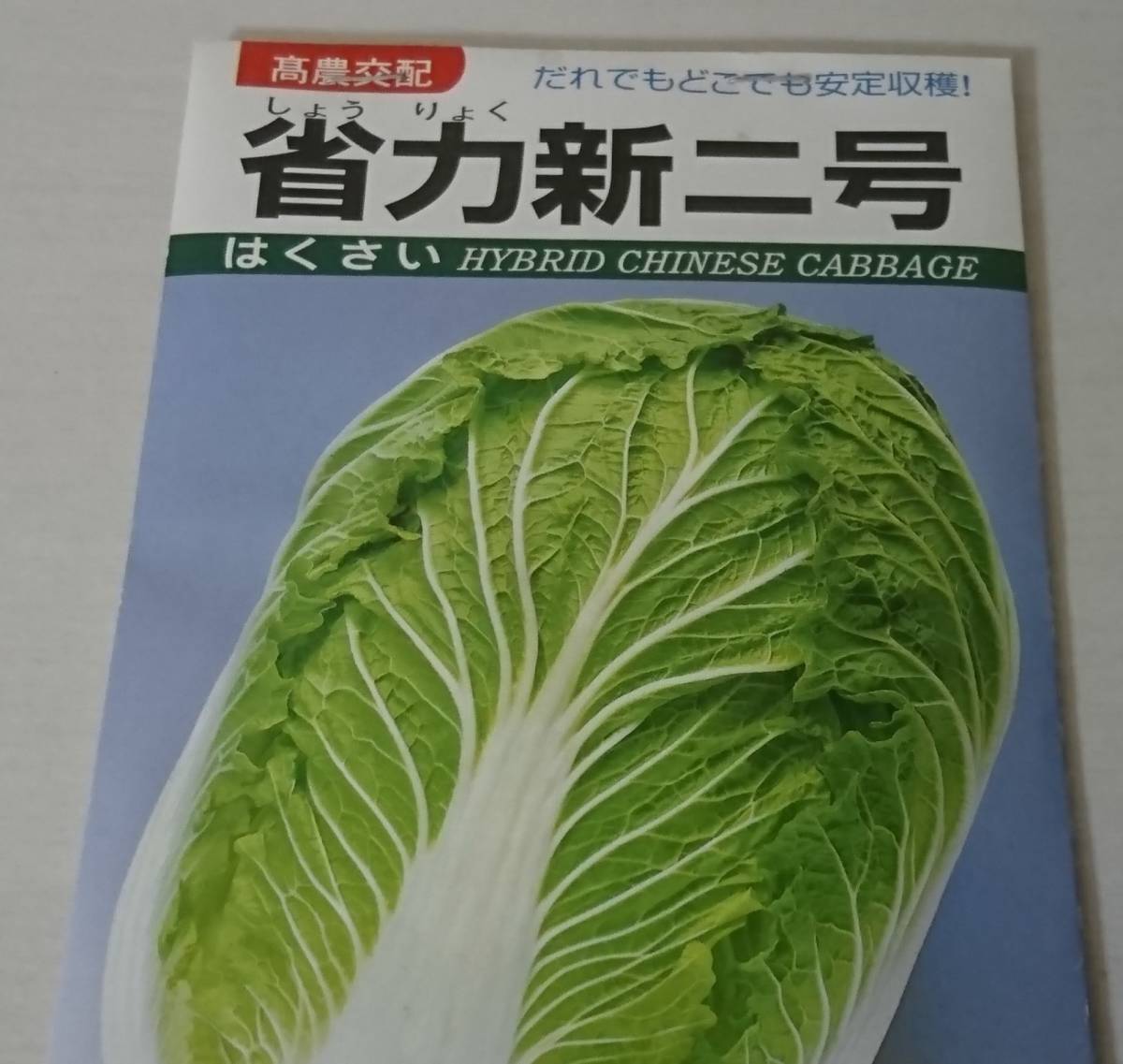 新品古種　野菜の種　白菜の種　省力新二号　高農交配　1_画像1