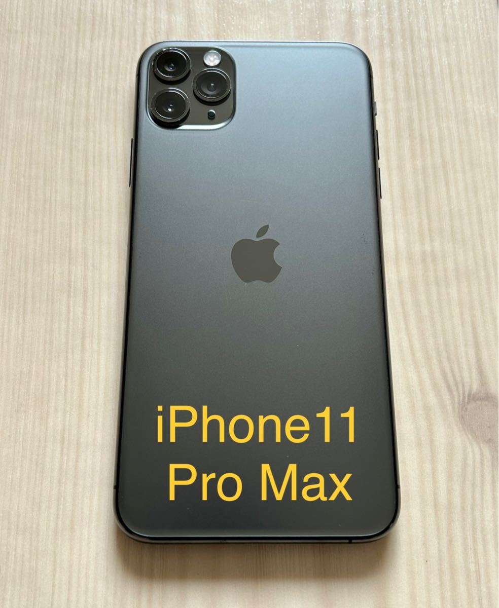 フラワーオブライフ 【海外版】iPhone 11 Pro スペースグレイ 256 GB