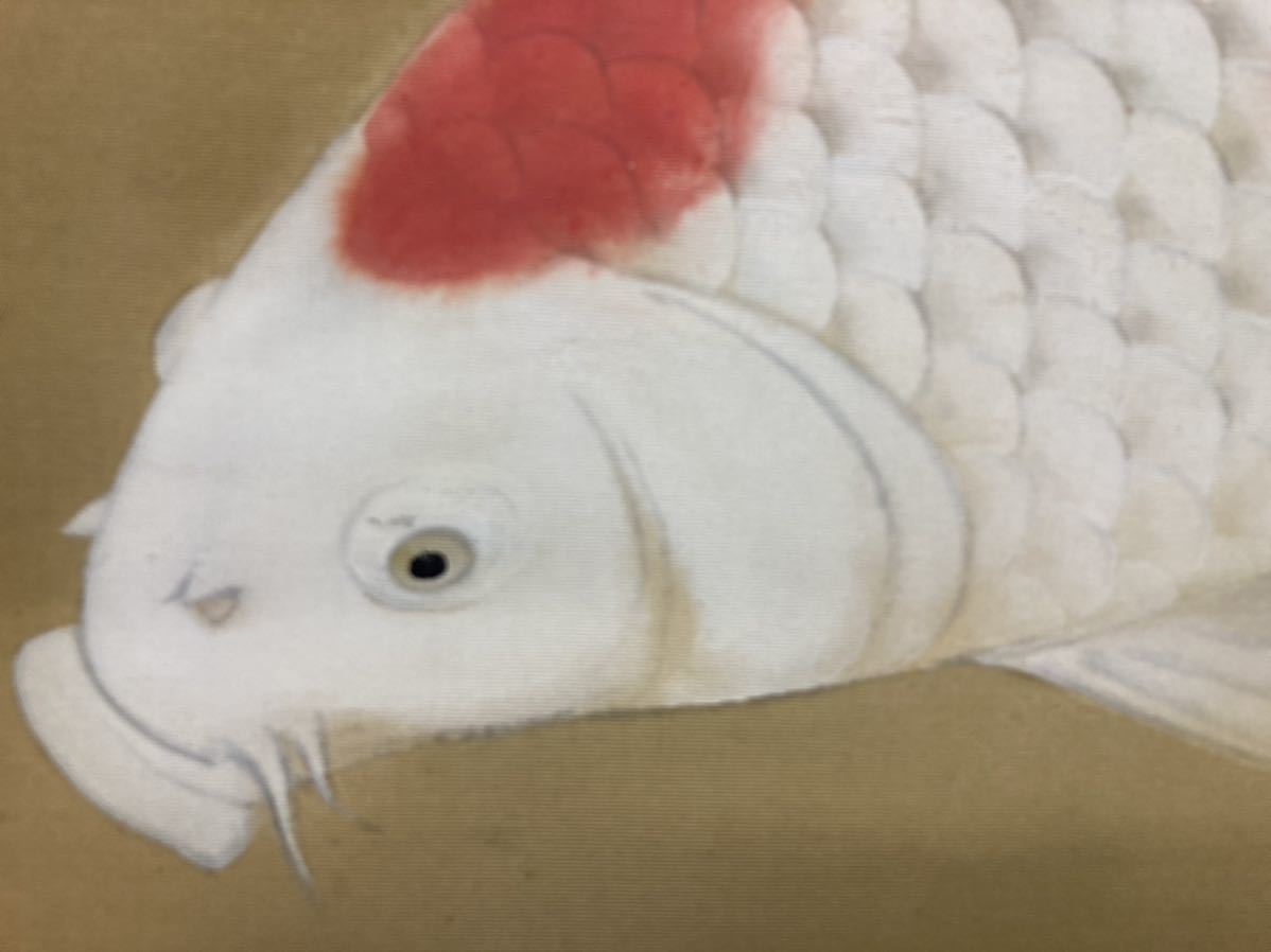 掛け軸　鯉図　肉筆　日本美術　中身サイズ50-57.5cm 全体サイズ162-73.5cm_画像4