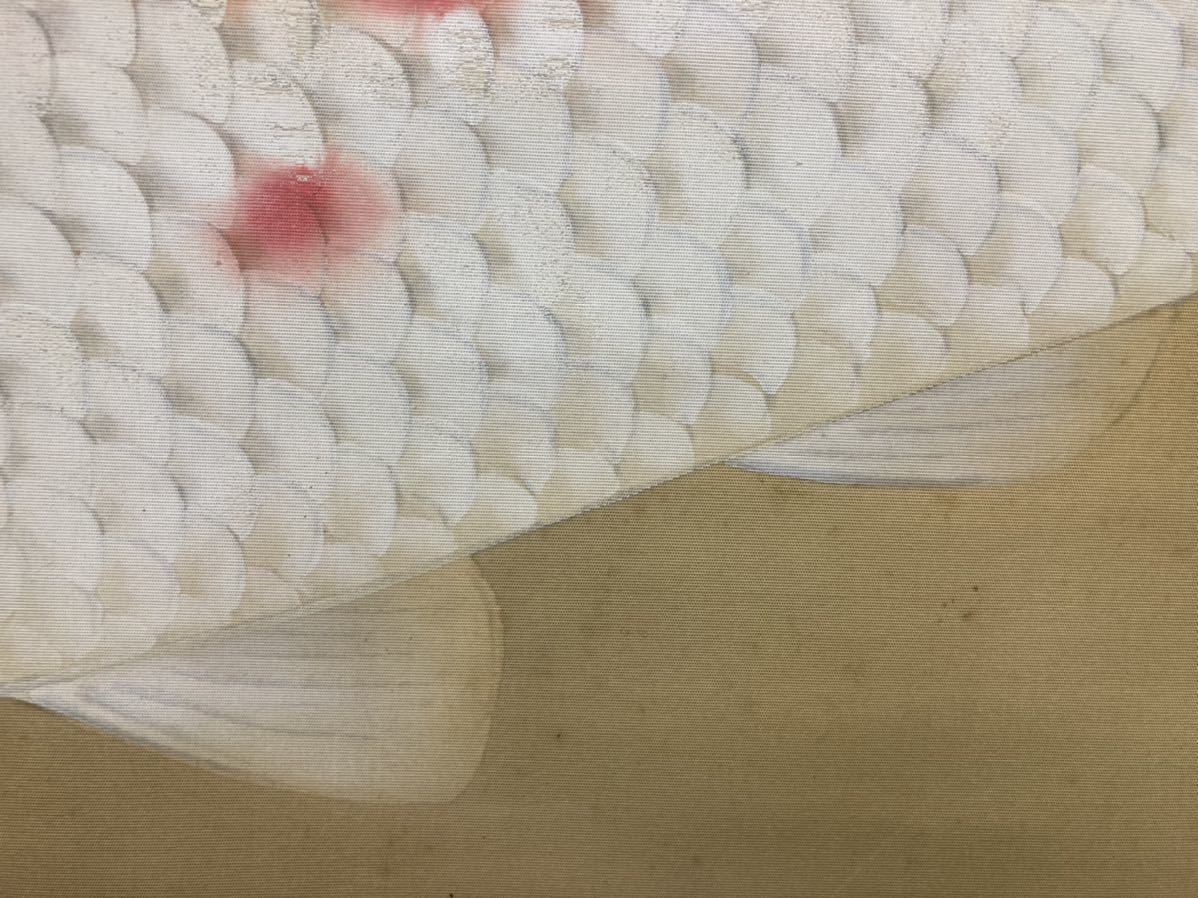 掛け軸　鯉図　肉筆　日本美術　中身サイズ50-57.5cm 全体サイズ162-73.5cm_画像5