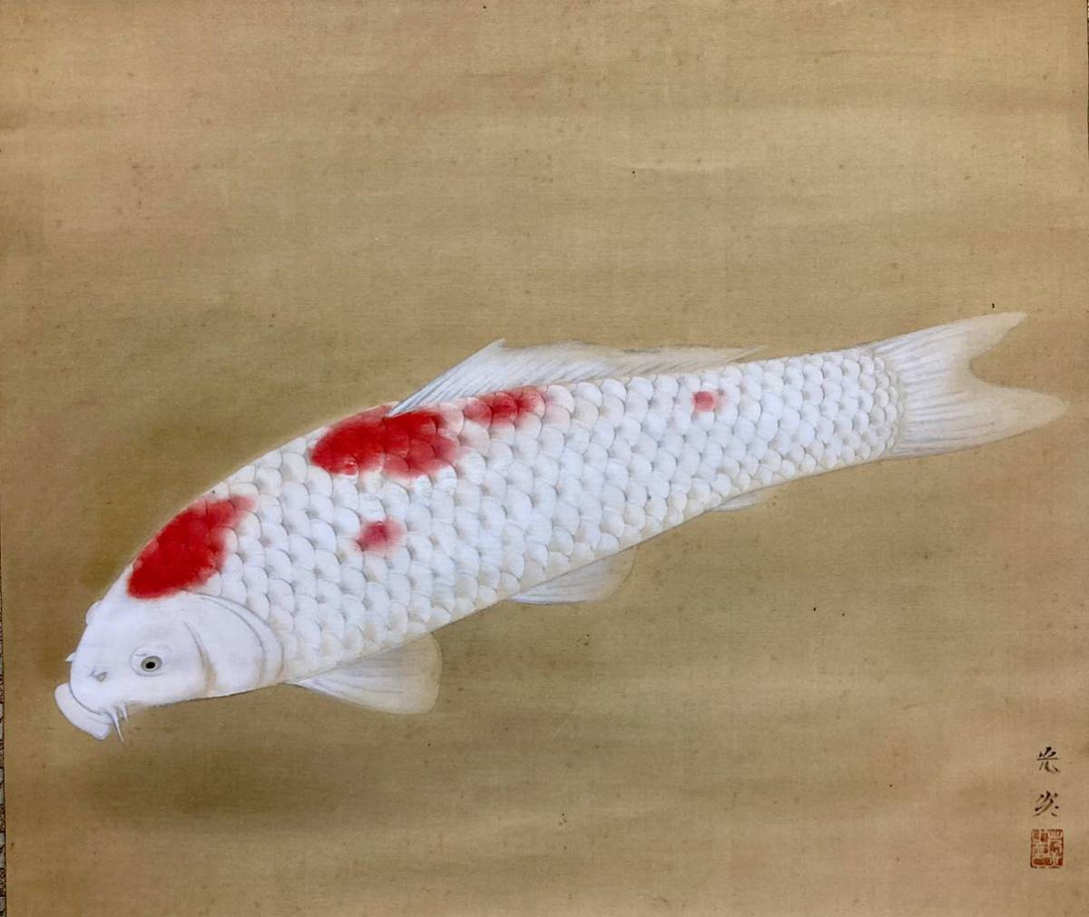 掛け軸　鯉図　肉筆　日本美術　中身サイズ50-57.5cm 全体サイズ162-73.5cm_画像2