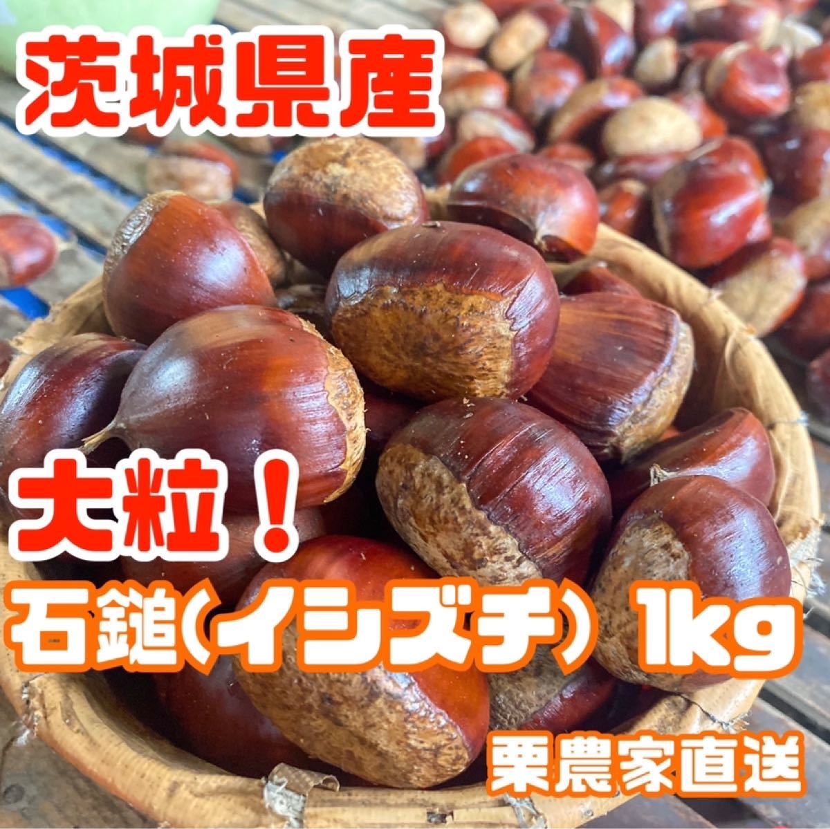 農薬不使用生栗　大粒３Ｌサイズ　１kg入　茨城県産