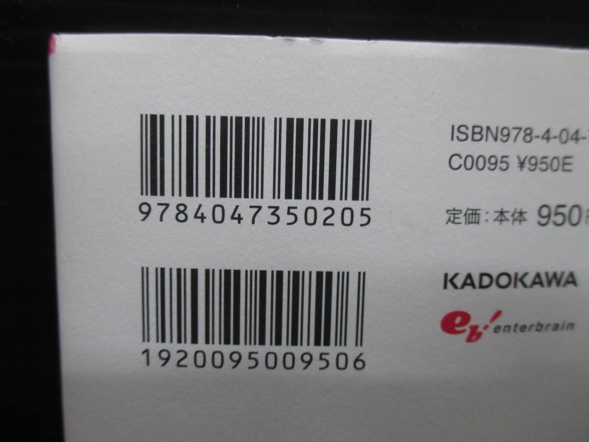 中国嫁日記 ママたいへん編 / 井上純一/エンターブレイン/KADOKAWA　初版　帯付き　e22-11-10-3_画像3