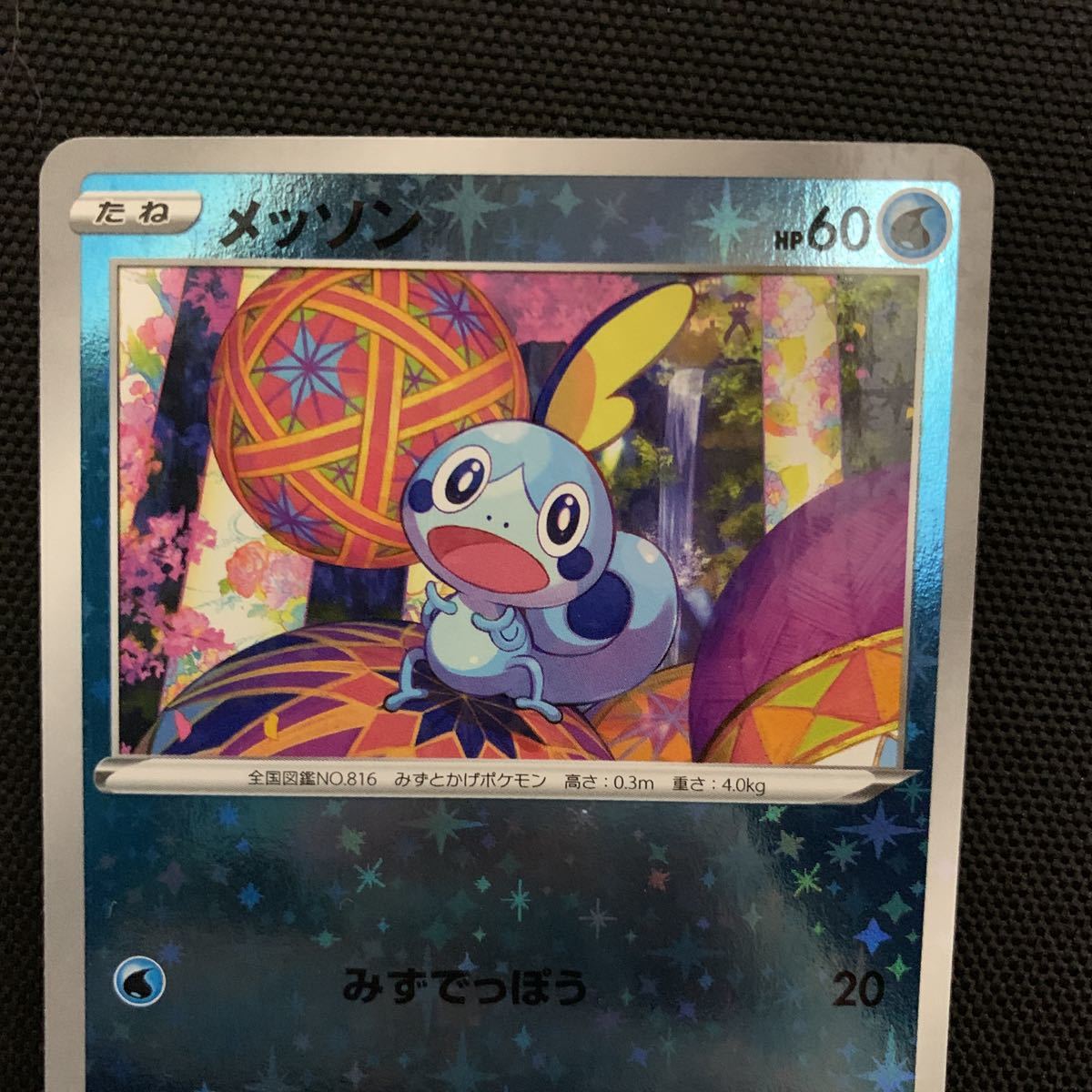 メッソン　プロモ　カナザワセット　ポケモンカード ポケカ _画像2