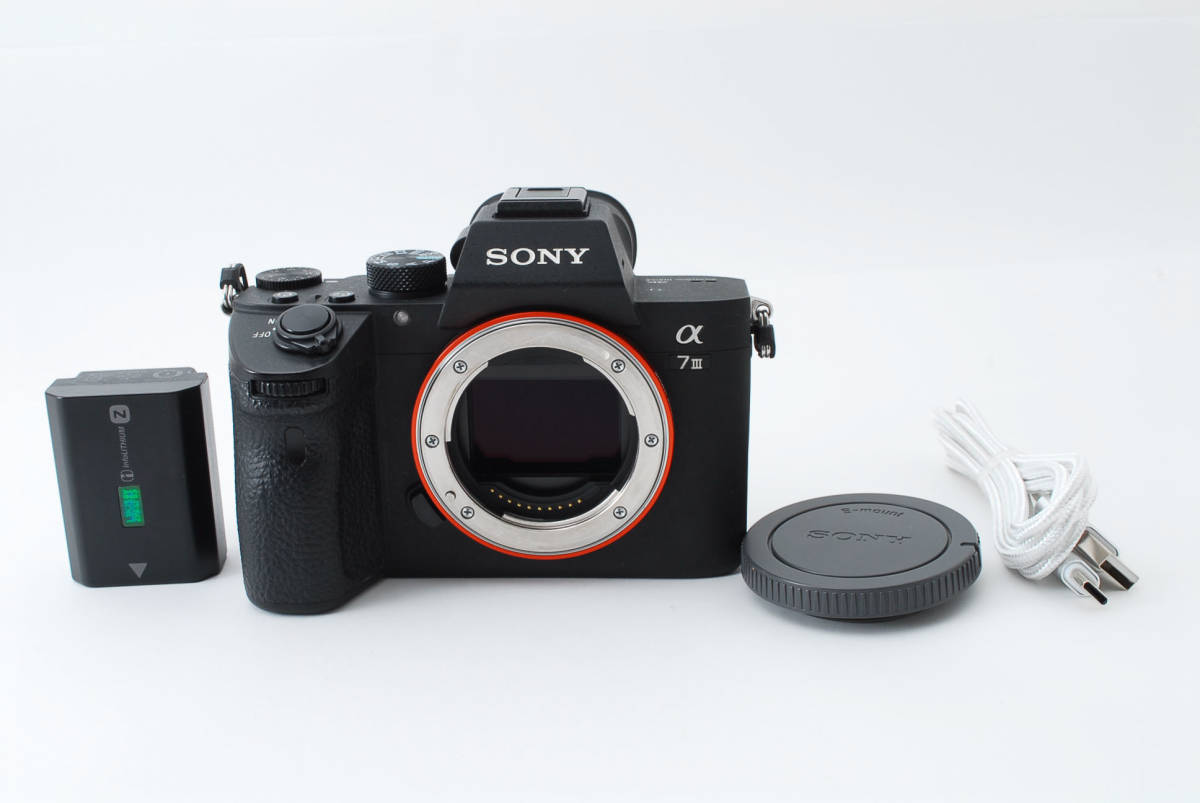 蔵 ショット数 19590回 極上品 SONY ソニー α7III ILCE-7M3 ボディ