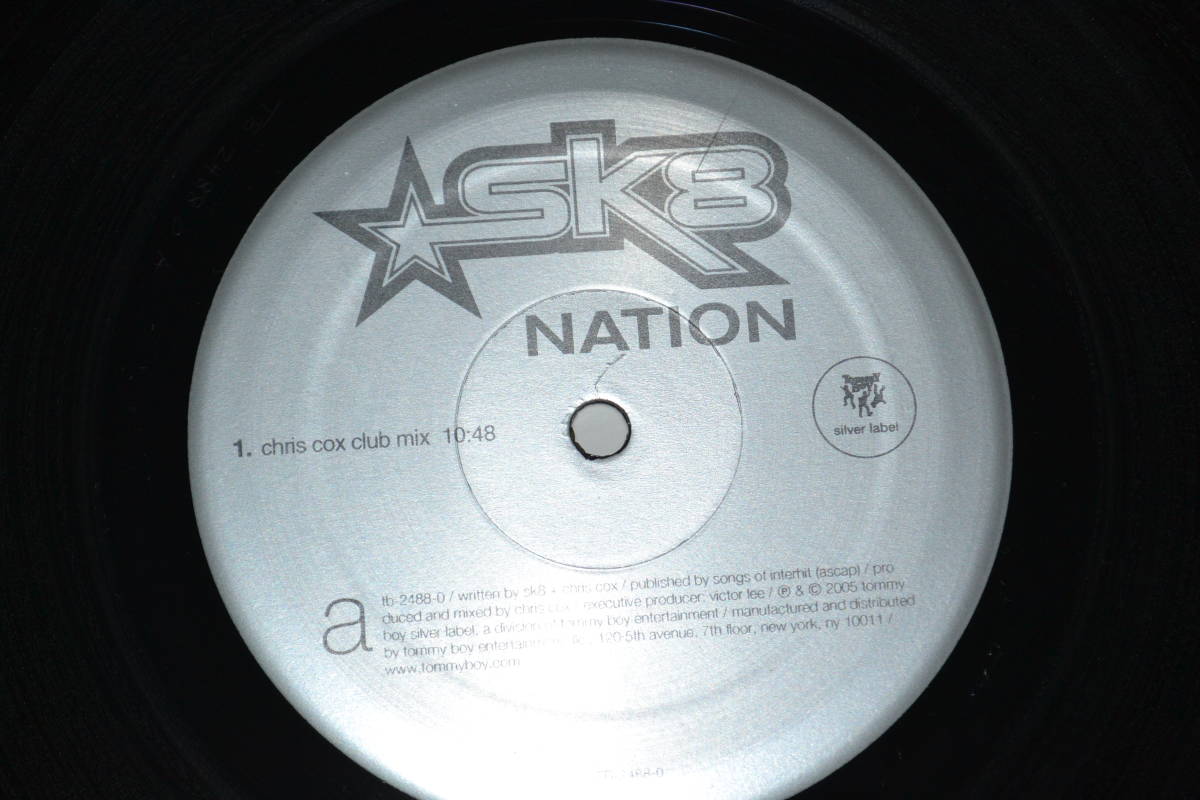 12(LP) ☆SK8 Nation USオリジナル・リミックスバージョン 美品_画像3