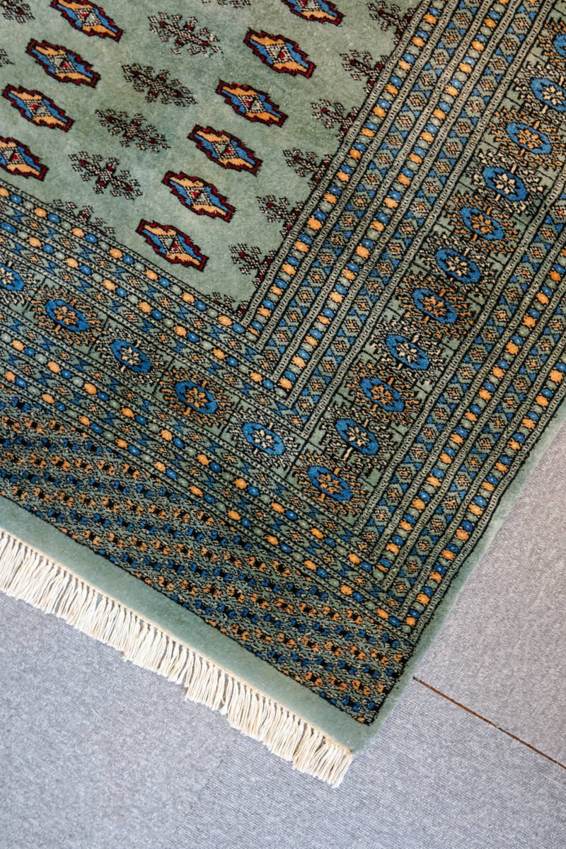 手織りパキスタン絨毯 size 254×155cm