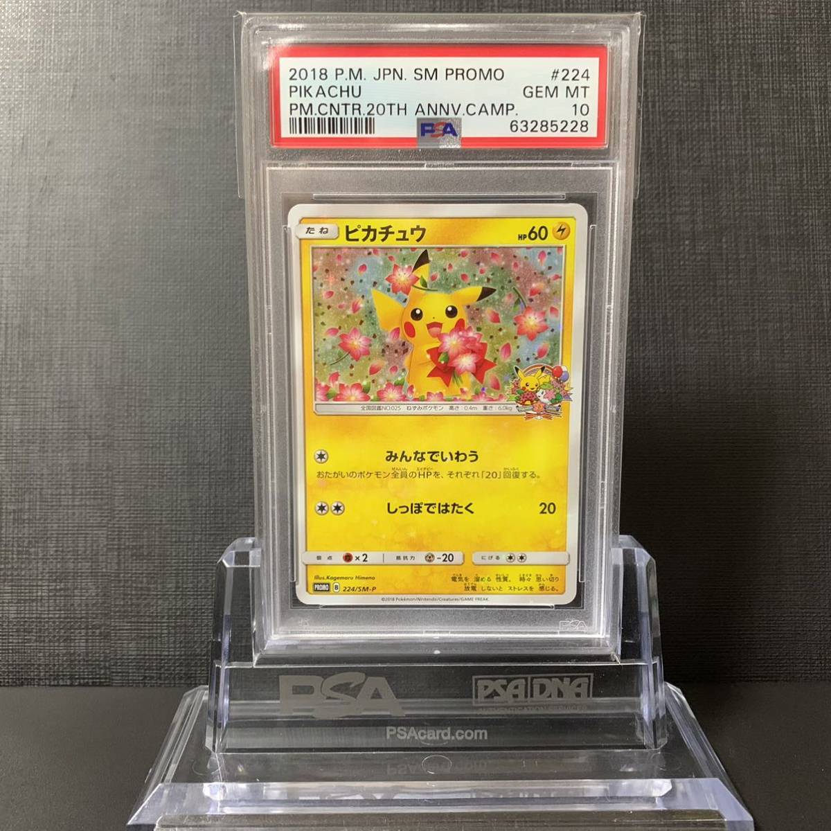 即決】 PSA10 ピカチュウ 224/SM-P プロモ ポケモンセ | JChere雅虎