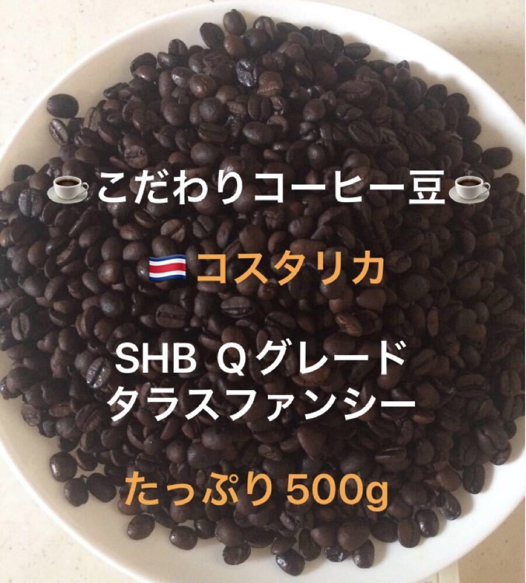 日本人気超絶の 自家焙煎スペシャルティコーヒー豆 コスタリカ タラス
