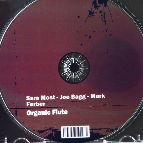 【廃盤 レア】サム・モスト　SAM MOST　ORGANIC FLUTE_画像3