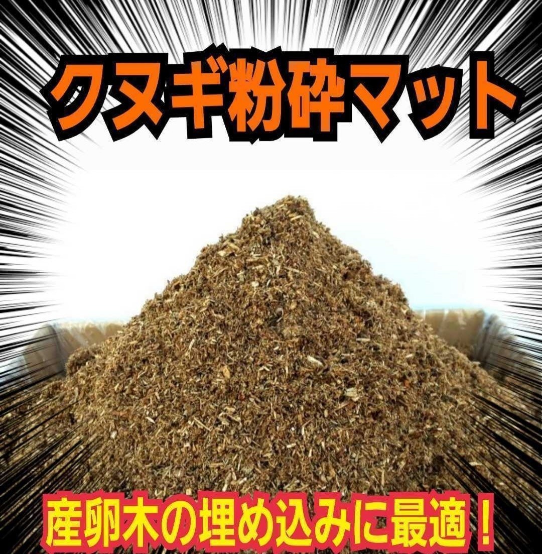 クヌギ朽木粉砕マット☆産卵木の埋め込みに最適！無添加！自然の栄養分をたっぷり含んでます！より天然に近い環境で飼育したい方にお薦め！