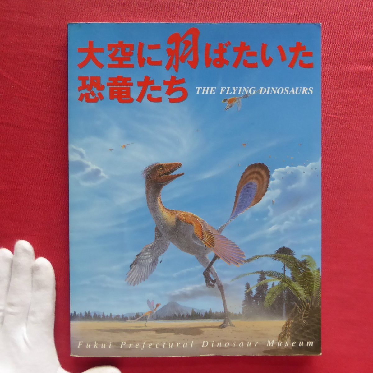 d12 llustrated book [ heaven . feather . want . dinosaur ../ Fukui prefecture . dinosaur museum * Heisei era 17 year another ] Europe. bird. comfort ./ Asia. .. bird 