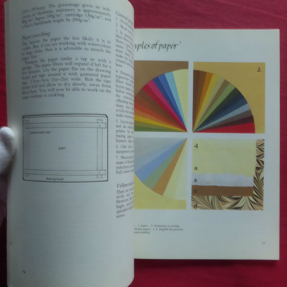 θ21/洋書【カラーカリグラフィー：Colour Calligraphy/David Graham・1991年】_画像7