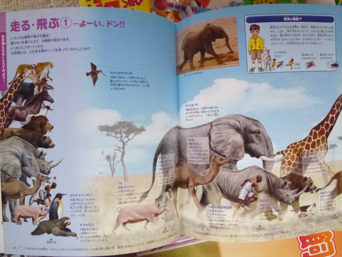  Shogakukan Inc. / Gakken etc.. illustrated reference book 15 pcs. set (../. class /../ child care ./ kindergarten / preschool ./ year little san / annual san / year length san / elementary school student / intellectual training / education / study / man . direction )