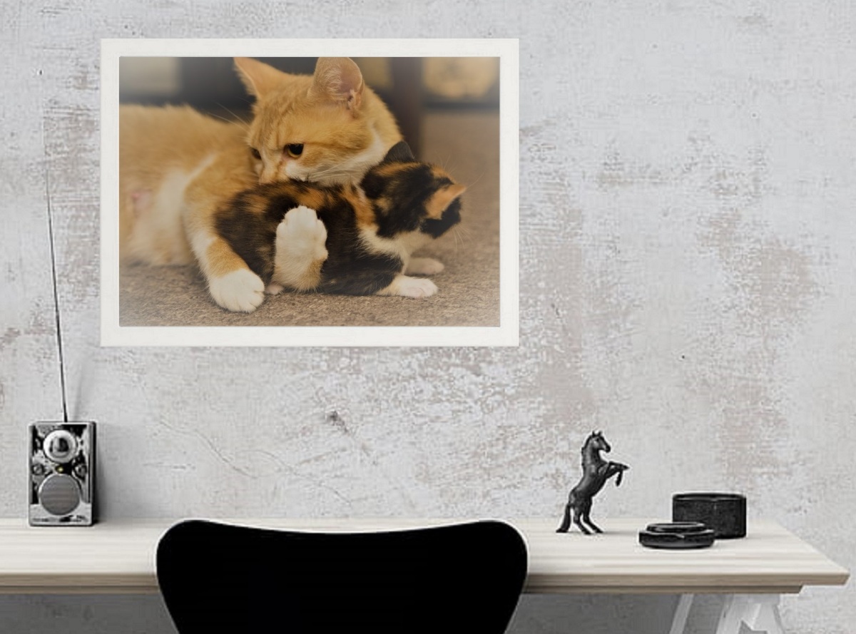 【フレーム付-白-】インテリアポスター 猫 ネコ 可愛いニャンコ A3サイズ ip20_画像2