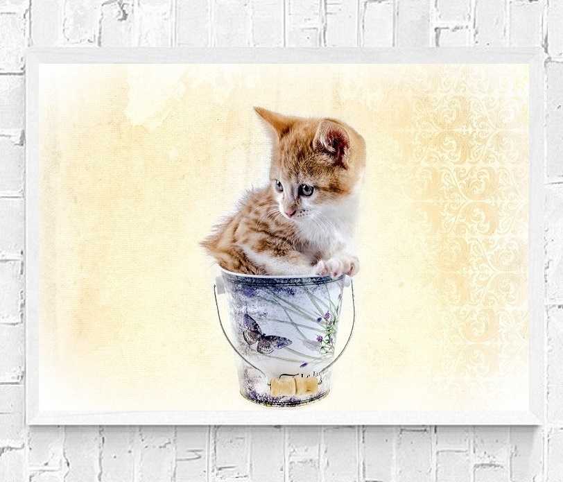 インテリアポスター 猫 ネコ 可愛いニャンコ A2サイズ ip14_画像1