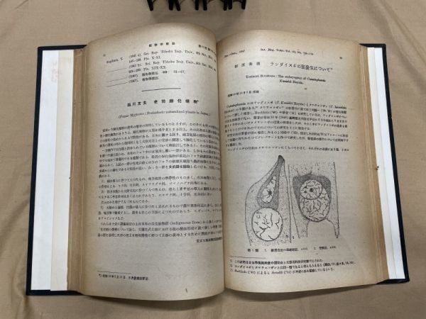 Z03 / 除籍本 植物学雑誌 昭和21年～昭和40年 計18冊　_画像3