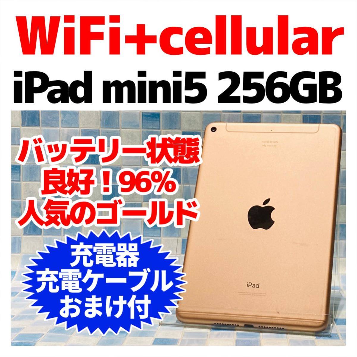 Wi-Fi 本体 iPad mini 5 64 GB 104 グレイ 電池良好 | veranstaltungen.lkz.de