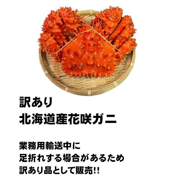 【訳あり】花咲がに　10尾（約400－500ｇサイズ）　ボイル　北海道産　花咲ガニ　かに　蟹　はなさきがに_画像2